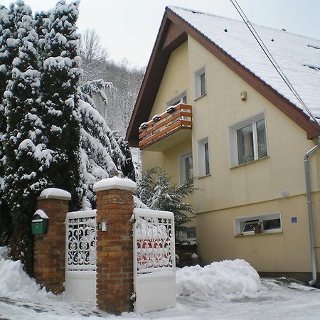 Villa Harmonia Panzio فيشيغراد المظهر الخارجي الصورة