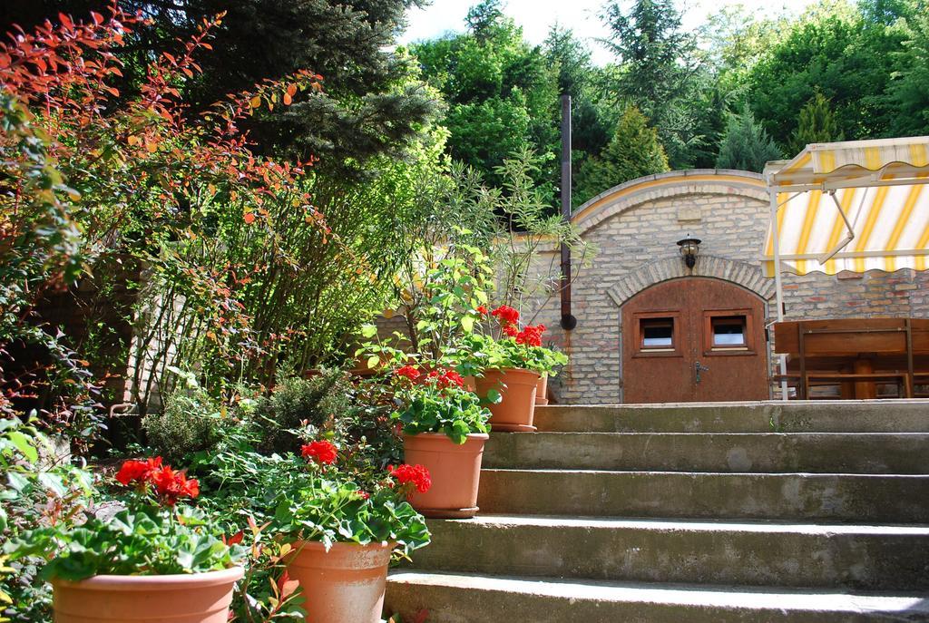 Villa Harmonia Panzio فيشيغراد المظهر الخارجي الصورة