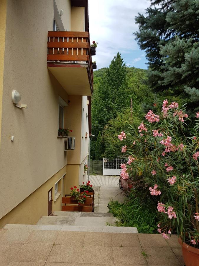 Villa Harmonia Panzio فيشيغراد المظهر الخارجي الصورة